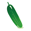 Cucumbers