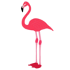 Flamingos