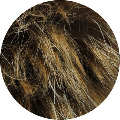 TWINGO women's knitted hat with sequins and pom-pom BROWN