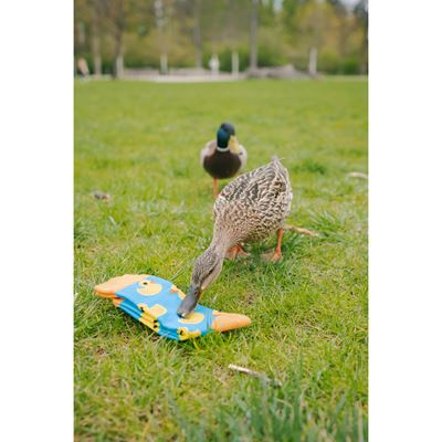 Men's funny socks DEPATE with pictures of DUCKS