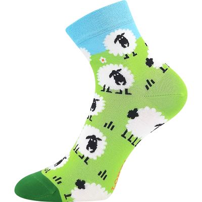 Funny DORWIN socks with sheep pictures