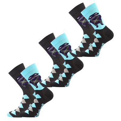 Men's socks LICHOŽROUTI P with PADREHO image