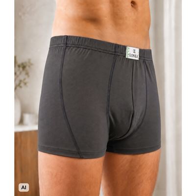 Men's bamboo boxer shorts NORBERT anthracite