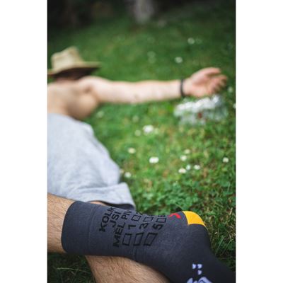Men's summer socks PIVOXX funny with BEER pictures mix 6 (3 pairs)