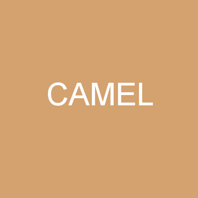 Women's nylon knee-socks 20 DEN CAMEL 5 pairs per pack