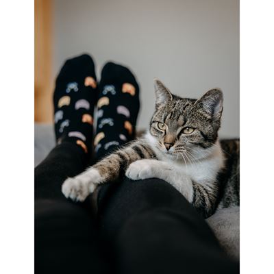 FELIXA thin women's socks with cats (3 pairs)