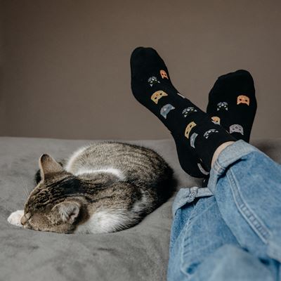 FELIXA thin women's socks with cats (3 pairs)
