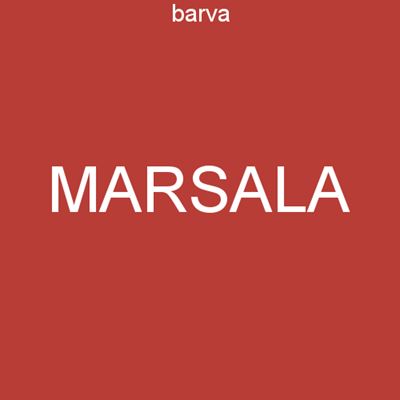 MICRO tights 50 DEN MARSALA